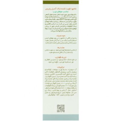 شامپو تقویت کننده ستیل اکتیو موی چرب - Image 3